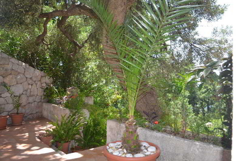 Apartments Martiva Dubrovnik Eksteriør billede